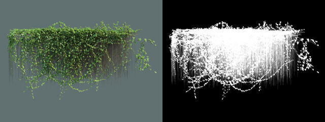 A wide variety of trees and shrubs  © jomphon