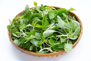 Amaranth white stems in bamboo basket on white background.