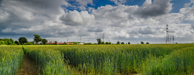 Panorama view of countryside in North Germany with biogas plant. Cornfield with agricultural...