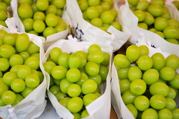 市場に並んだマスカット