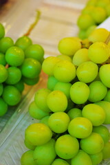 美味しいマスカット