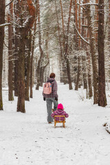 The parent is dragging the child on a sled through the snow-covered forest 