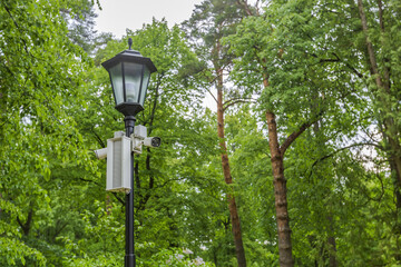 Black vintage iron lantern in the daytime among the green trees in the forest