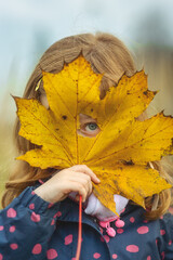 Child looking through the hole in the yellow leaf
