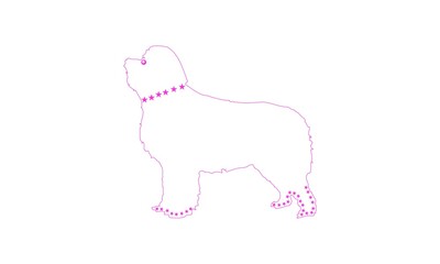 dog line art design.dor vector art 