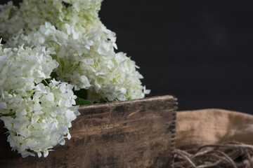 Old wooden box filled with fresh cut snowball hydrangea blooms.