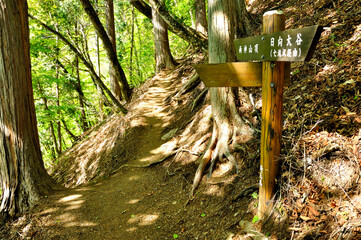 奥秩父の両神山　春の表登山道　鈴が坂
