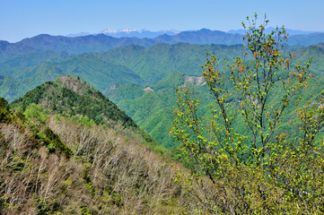 奥秩父山塊　両神山山頂から望む八ヶ岳と秩父山地の展望
奥秩父　両神山（剣ヶ峰）より中央奥が八ヶ岳（権現岳、赤岳、横岳、硫黄岳、天狗岳、縞枯山、北横岳、蓼科山）、左から高天原山（神立山）、大蛇倉山、石仏、御座山、その手前左から滝谷山、ブドー沢ノ頭、帳付山、倉門山、手前左が狩倉山