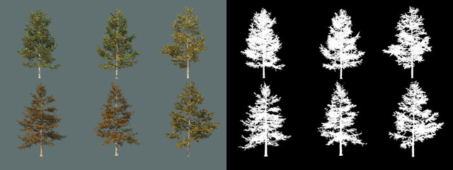 A wide variety of trees and shrubs
