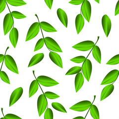 Green leaves on a white background. Seamless pattern with branches and foliage for fabrics, decorative pillows, interior design. Vector.