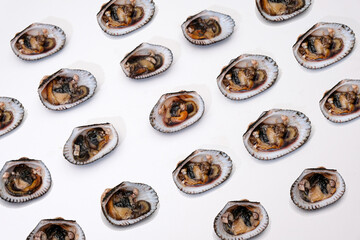 Cocnhas frescas del mar alineadas