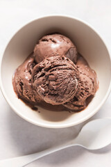 Chocolate ice cream in bowl 