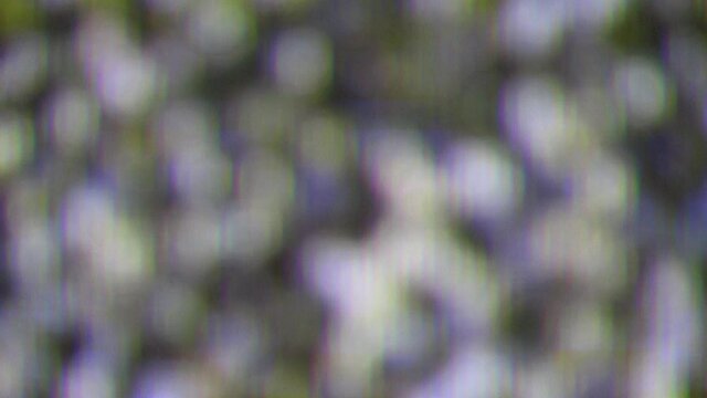 Soft focus view at a plasma tv while showing white noise