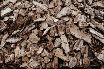 Pieces of wood. Firewood. Wooden texture
