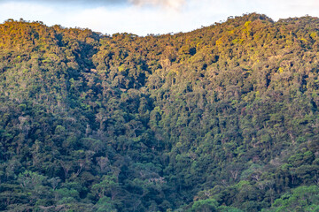 mountains of selva peruvian