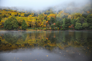 黄葉の木々が鏡のように映りこんだ水面に霧が立ち込め始める