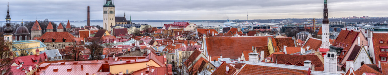 Fototapeta na wymiar Tallinn panorama
