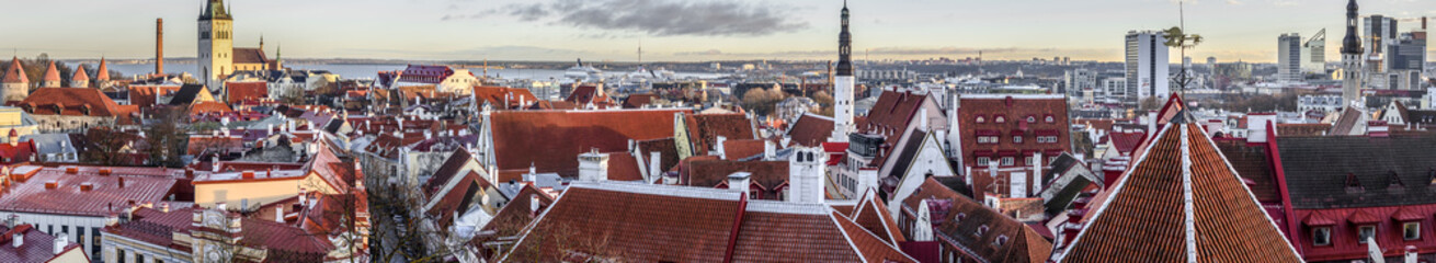 Naklejka na ściany i meble Tallinn panorama