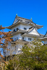 Naklejka premium 伊賀上野城