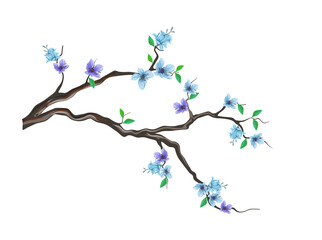 Hand drawn blue cherry flower tree vector isolated