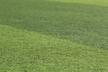 Green soccer field