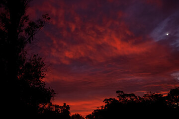 Intense sky at sunset with Venus 