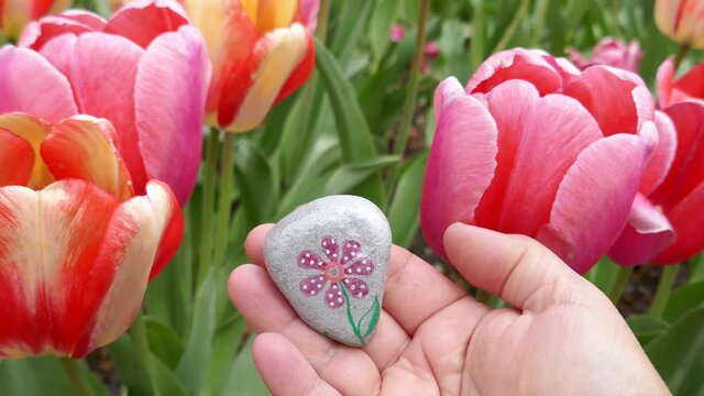 Kindness rock with painted flower held up in woman's hand by tulip flowers