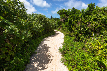Obraz premium 沖縄県宮古島、6月の風景・日本