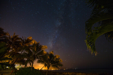 Milky Way Glowing Above Palm Trees on the Beach