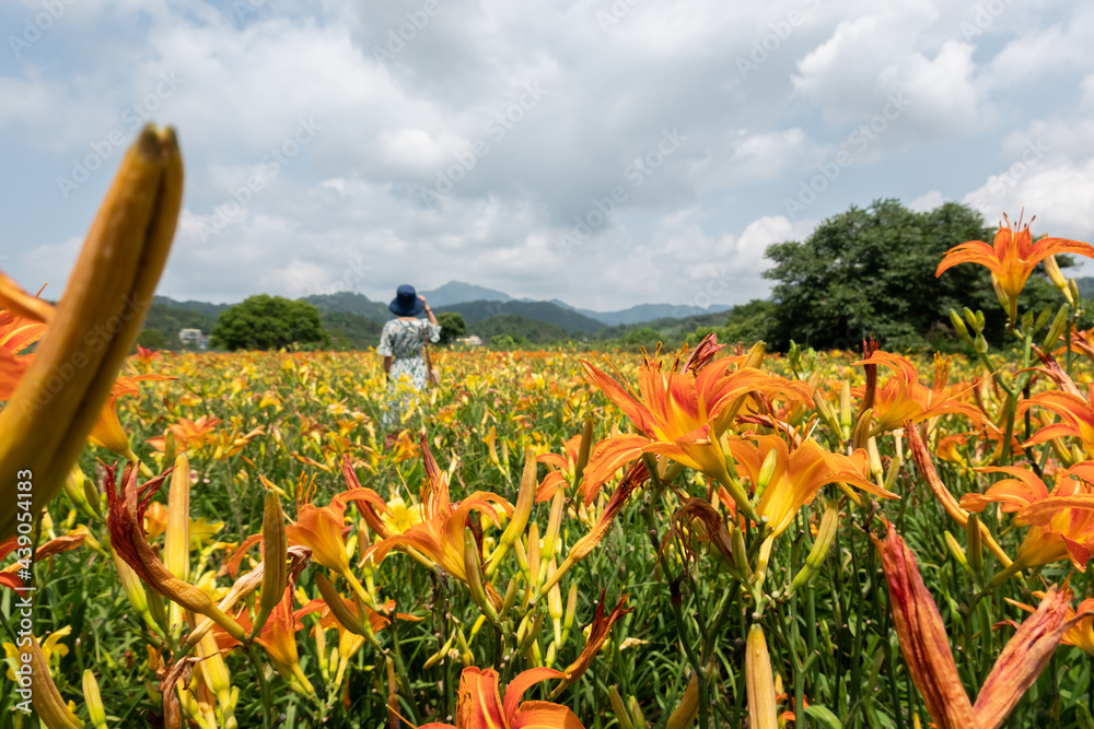 Poster woman traveling at the tiger lily farm