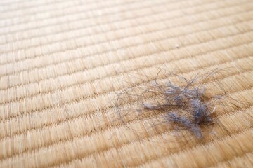 畳の上の髪の毛とホコリ