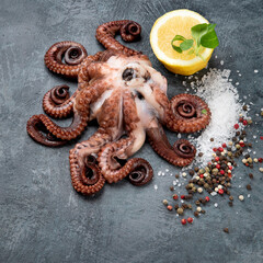 Grilled octopus served with spices and lemon on gray background. Seafood concept.