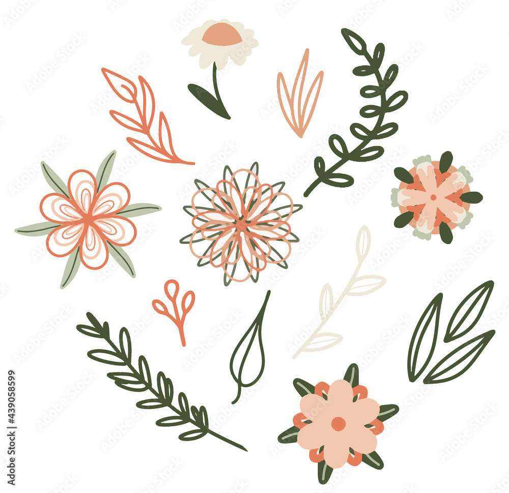 Wall mural Set of botanical elements, collection of flowers and branches for design, chamomile, eucalyptus branch, patterns, hand-drawn flat style, vector, green, pink, delicate shades