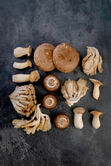 Mushrooms varieties on dark background. Delicious and nutritious ingredients for vegan food.