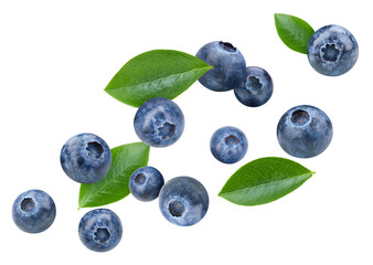 Organic blueberry isolated on white background