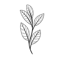 garden leaf icon