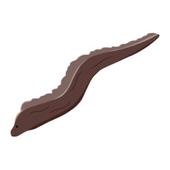sea eel of sea animal illustration