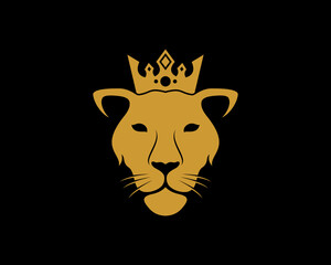 Lion king face in the black background