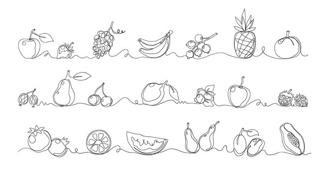 One line fruits. Exotic food. Tropical plants borders set. Contemporary monoline sketch. Juicy melon and watermelon. Sweet berry. Pomegranate or pineapple. Vector decorative elements set