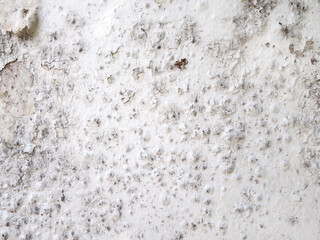 humidity damaged wall paint and causes mold