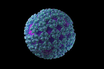 Hantavirus surface structure medical illustration Sin Nobre virus