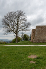 View of the city of Urbino