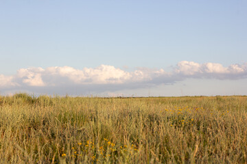 wide steppe with grass and cloud Stavropol region Russua