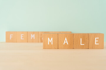 男性、男｜「MALE」と書かれた積み木