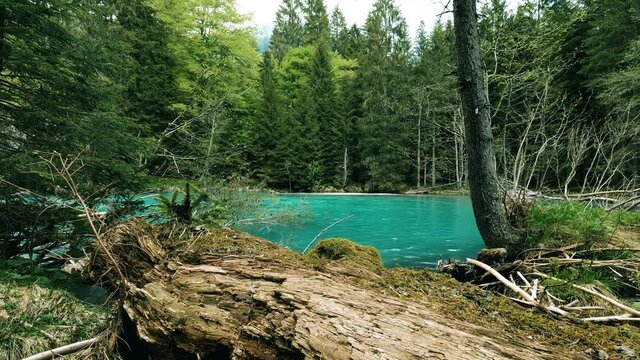 Turquoise Lake of Amola