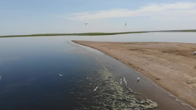 Kalmykia, Lake Manych. Waterfowl nesting grounds. 