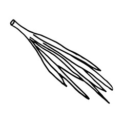 Vector bunch of fresh green onions in doodle style