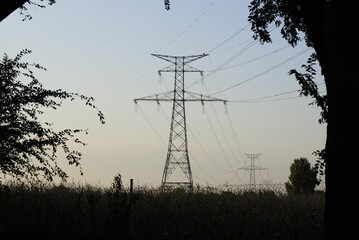 power lines in the sunset