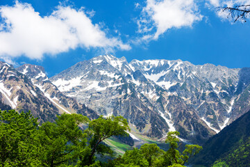 新緑の上高地から臨む残雪の穂高連峰