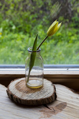 the Pacific with flowers and a beetle